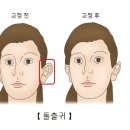 귀일지 이미지