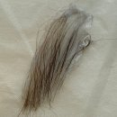 밤해윰 | 병점 브라질리언 왁싱샵 추천! 로엔뷰티앤왁싱 병점점 솔직후기 + 추후 관리 꿀팁까지