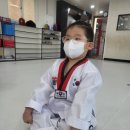 행복한 태권 스쿨 이미지