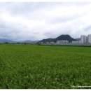 부원경로당 이미지