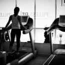 필리스 핏 이미지