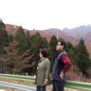 몽돌캠핑 Daum카페