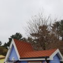 한림농산 이미지