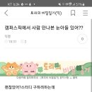 찾잔아 캠퍼스픽 눈아 이미지