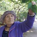 강서구민회관 앞 이미지