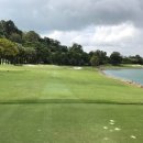 골프클럽 이미지