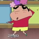 65 | 영어 찐 노베이스 지텔프 65점 졸업 후기 꿀팁