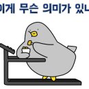 공원 분식 네이버블로그