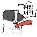 올드페리도넛롯데프리미엄아울렛 이미지