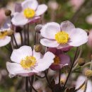 미림골프연습장 이미지