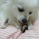 빈이맘마 이미지