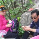 면천초등학교 이미지