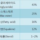 에스테르
