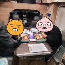 심야광장 이미지