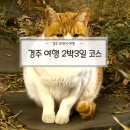 경주 뚜벅이 여행 2박 3일 코스 / 1일차~2일차 일정