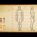 DRAW BODY 이미지