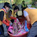 갈매 세탁소 이미지