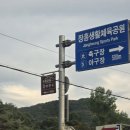 홍정장어