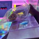 뽑기게임랜드 이미지