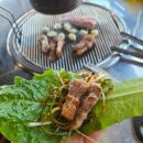 제주탐몽 이미지