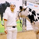 대흥목장 이미지