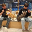 아가마미고양이카페 이미지