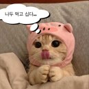 비티랩 이미지