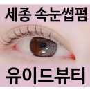 도담동_한신휴시티좌측 | 세종 도담동 속눈썹펌 잘하는 곳 눈으로 시선가는곳 유이드뷰티