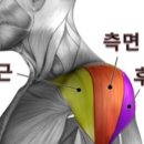 아세로짐 평택역점 이미지