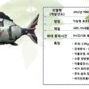 주식회사 에이치랜드 이미지