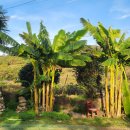 진상면사무소 이미지