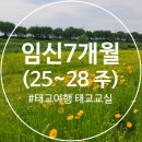 임신7개월 25주-28주 | 임산부 필라테스, 포항여행, 삐뽀삐뽀119, 보건소태교교실