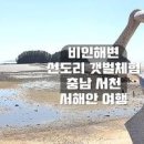 충남 갯벌체험장 서천 아이와가볼만한곳 비인해변 이미지