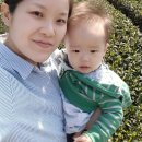 나라면먹고갈래 | 11개월 아기와 제주여행 후기