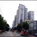 빌로채 이미지