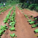 도농농장 이미지