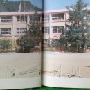 지례초등학교부항분교장 이미지