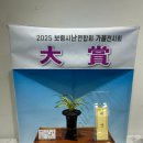 보령난