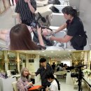회사원 이미지
