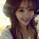 디브릿지