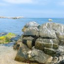 대부리 방파제 옆 이미지