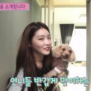간식창고 이미지