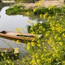 제 21회 전국 청소년 연극제 | 2026 제21회 창녕 낙동강 유채꽃 축제 초대가수(전유진,마이진,신승태,김다현 외)·일정·프로그램...