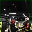 위즈덤 GYM 이미지