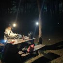 망상오토캠핑리조트 제2오토캠핑장 이미지