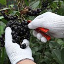 신영우농장 이미지