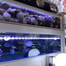 다이버해물나라 이미지