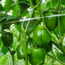 무주반디인력 이미지