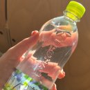 글로잉뷰티 | [마곡역 네일] 마곡 네일 속눈썹 유지력 맛집 글로잉네일&뷰티, 손톱 깨무는 습관 치료 해보자!