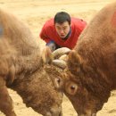 타이어챔피언 이미지